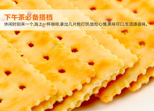 「酱香入魂」嘉士利葱香苏打饼100g 一口酥脆，穿越经典与童味